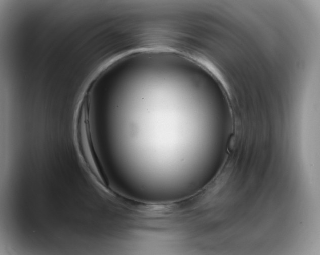 X0000088711485200706141439