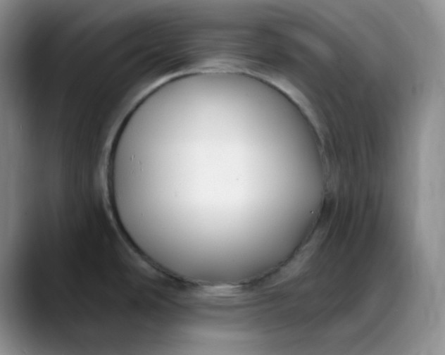 X0000088711486200706141439