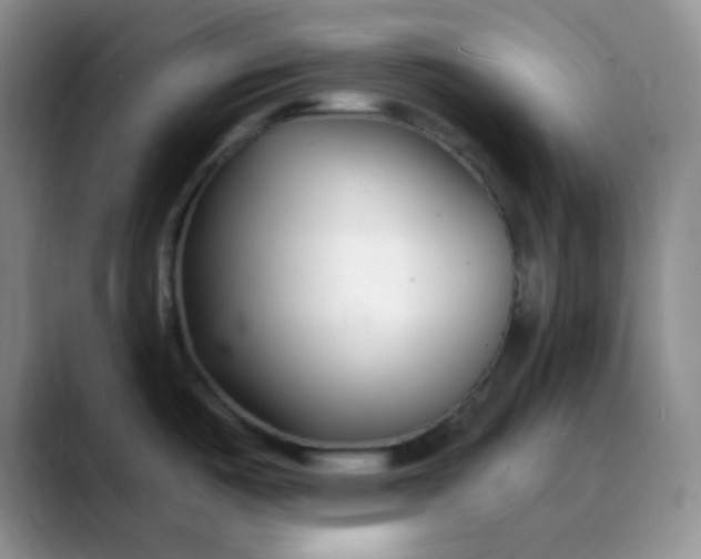 X0000088711487200706141439