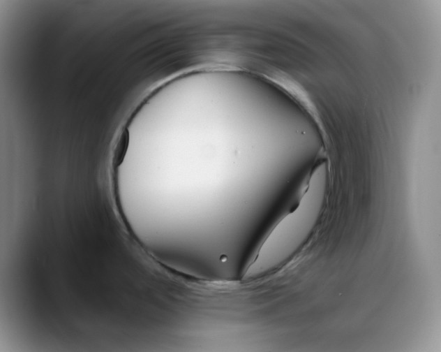 X0000088711488200706141439