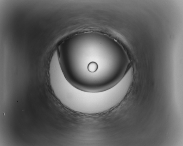 X0000088711496200706141439