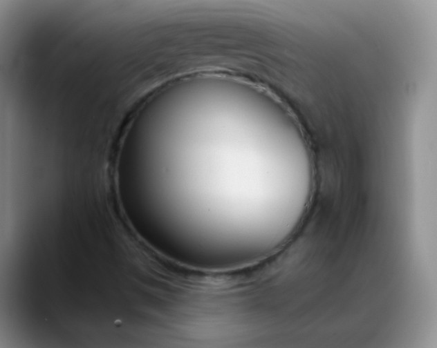 X0000088711497200706141439