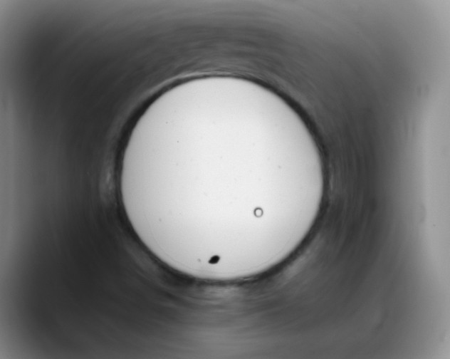 X0000088711498200706141439