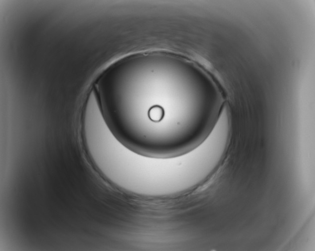 X0000088711500200706141439