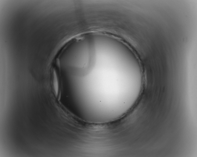 X0000088711501200706141439