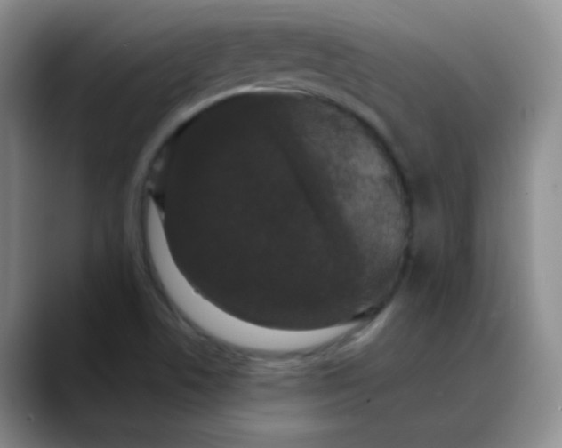 X0000088711506200706141439