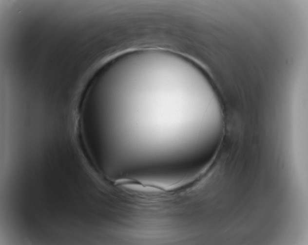 X0000088711507200706141439