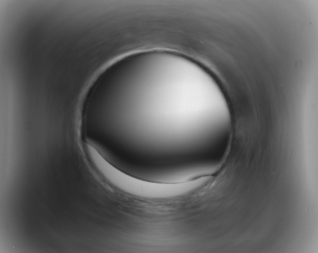 X0000088711508200706141439