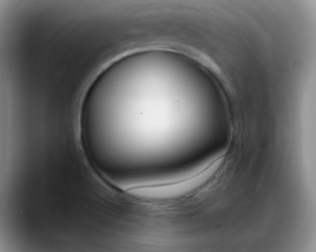 X0000088711512200706141439