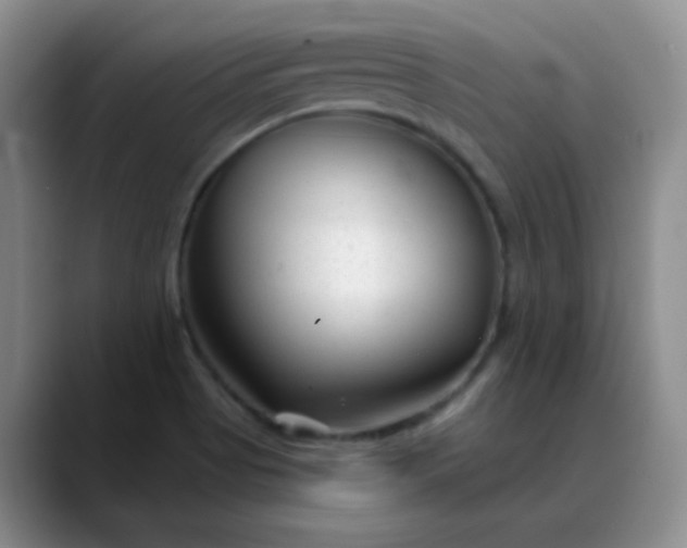 X0000088711513200706141439