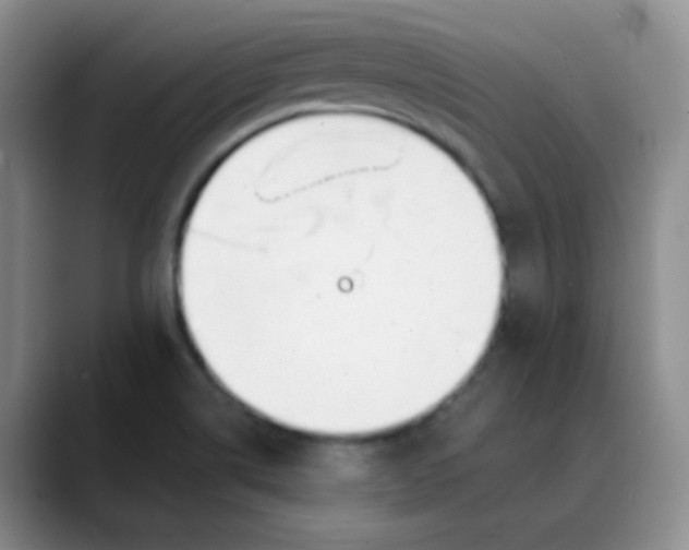 X0000088711514200706141439