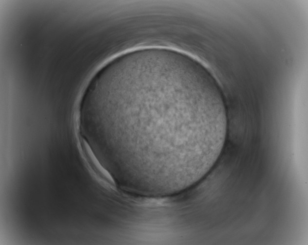 X0000088711519200706141439