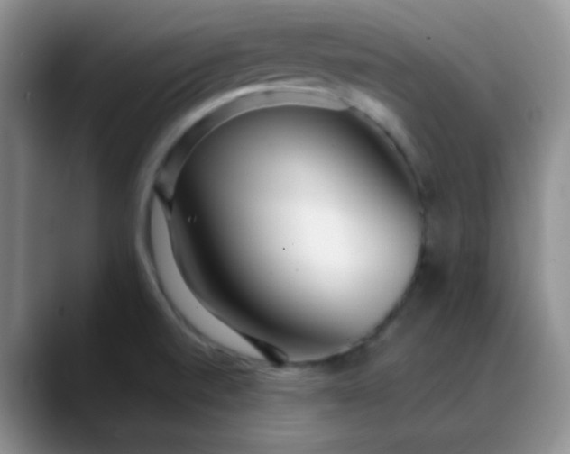 X0000088711520200706141439