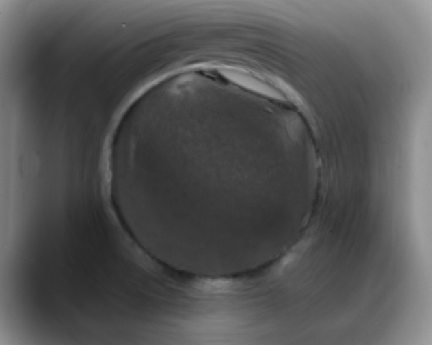 X0000088711522200706141439