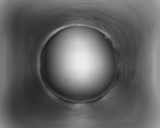 X0000088711523200706141439