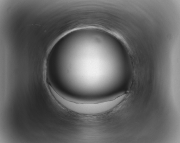 X0000088711524200706141439