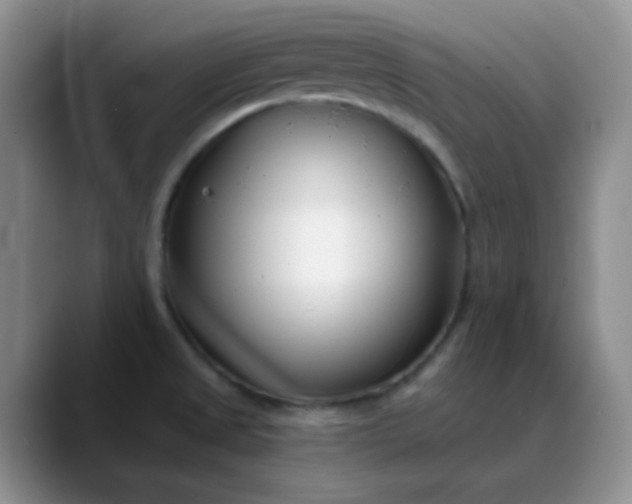 X0000088711525200706141439