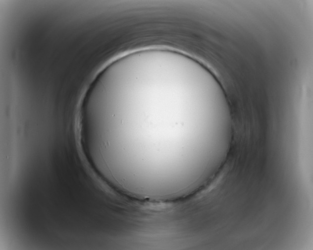 X0000088711526200706141439