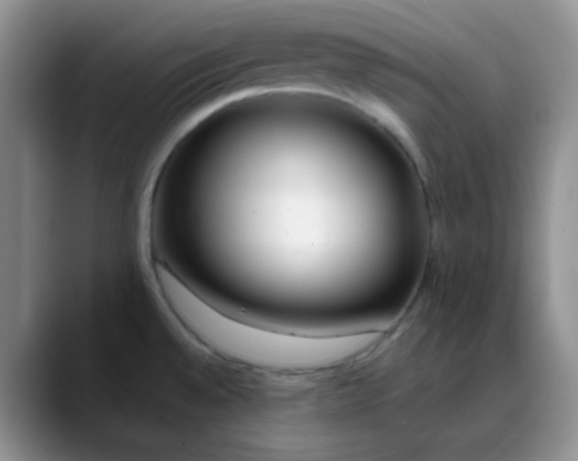 X0000088711528200706141439