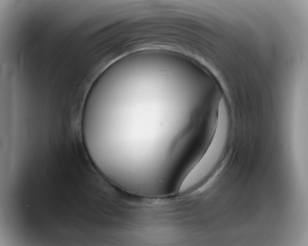 X0000088711529200706141439