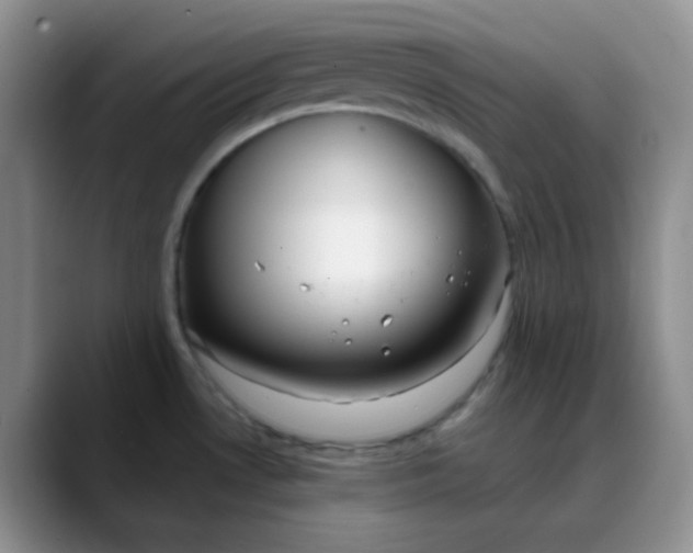 X0000088711530200706141439