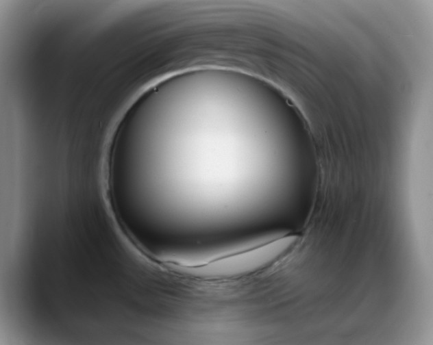 X0000088711531200706141439