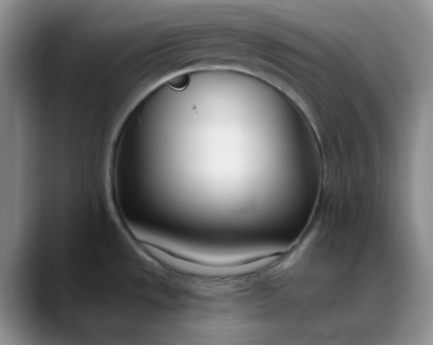 X0000088711533200706141439