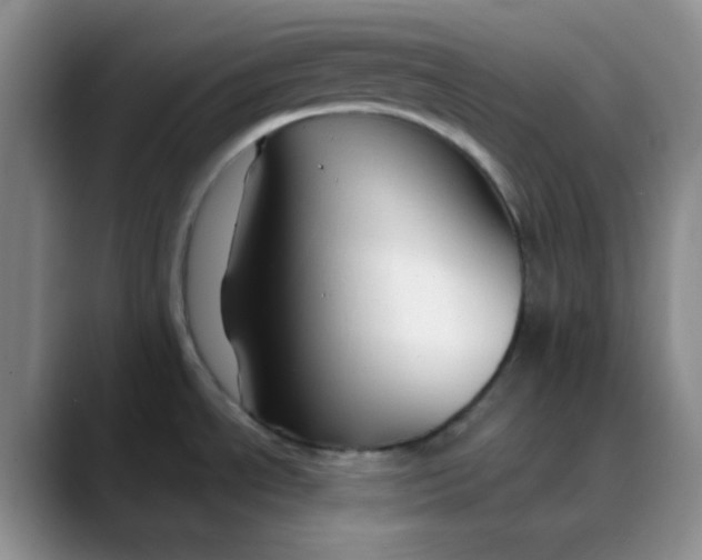 X0000088711534200706141439