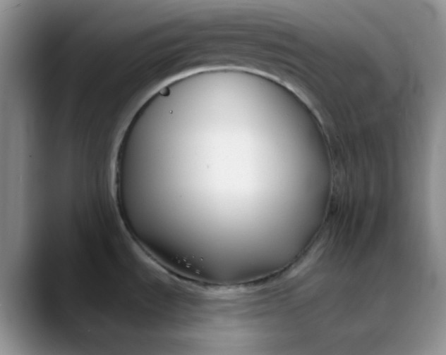 X0000088711535200706141439