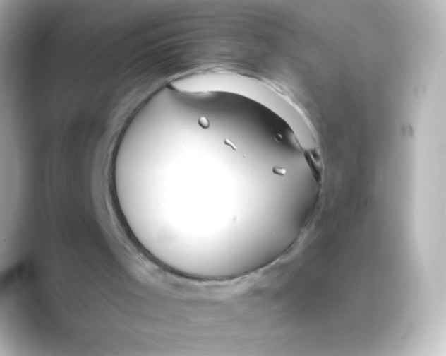 X0000088710001200706212011