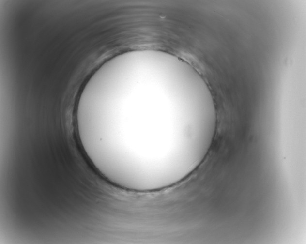 X0000088710002200706212011