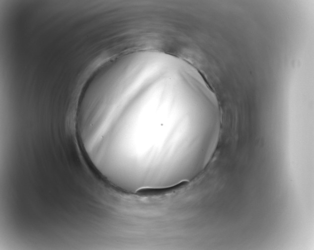 X0000088710003200706212011