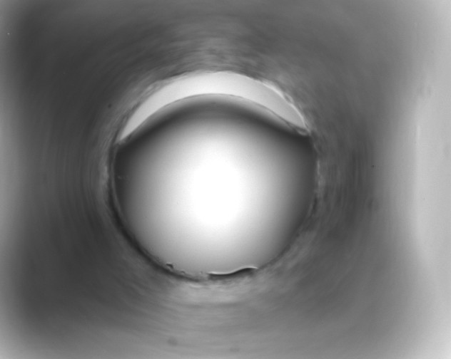 X0000088710005200706212011