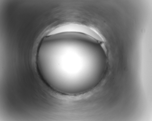 X0000088710007200706212011