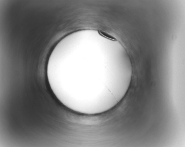 X0000088710008200706212011