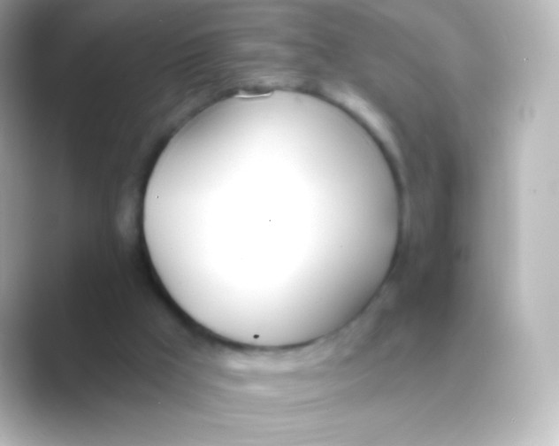 X0000088710009200706212011