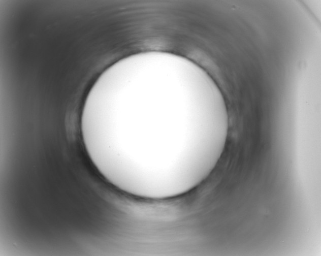 X0000088710012200706212011