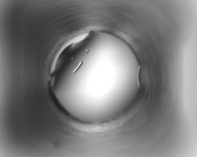 X0000088710015200706212011