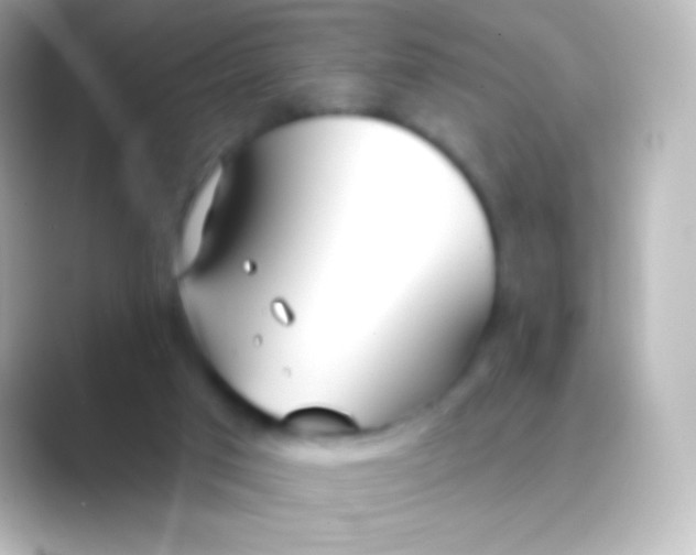 X0000088710017200706212011