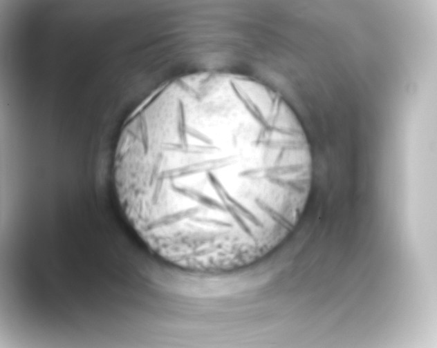 X0000088710018200706212011