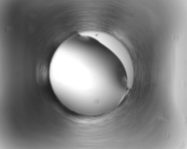 X0000088710021200706212011