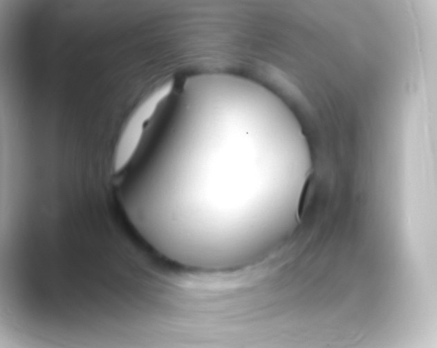 X0000088710025200706212011