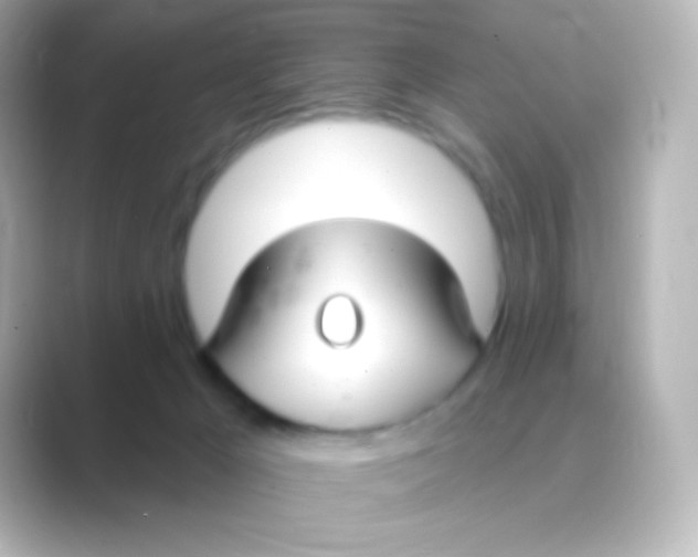 X0000088710029200706212011