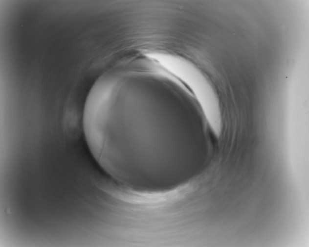 X0000088710031200706212011