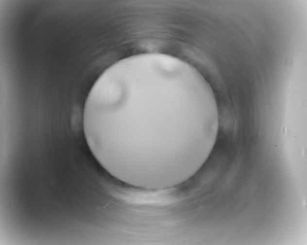 X0000088710036200706212011