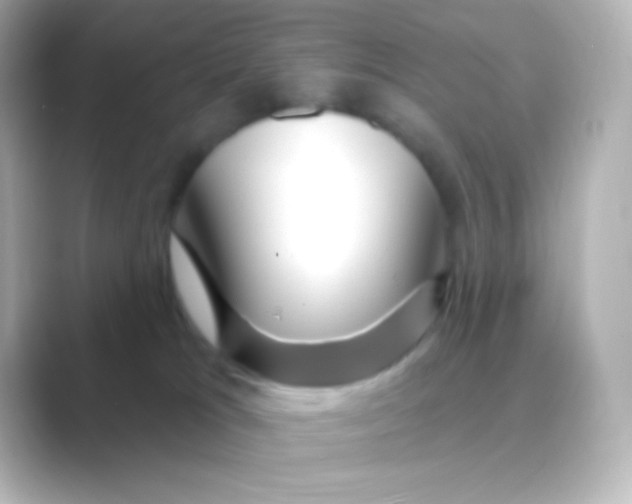 X0000088710037200706212010