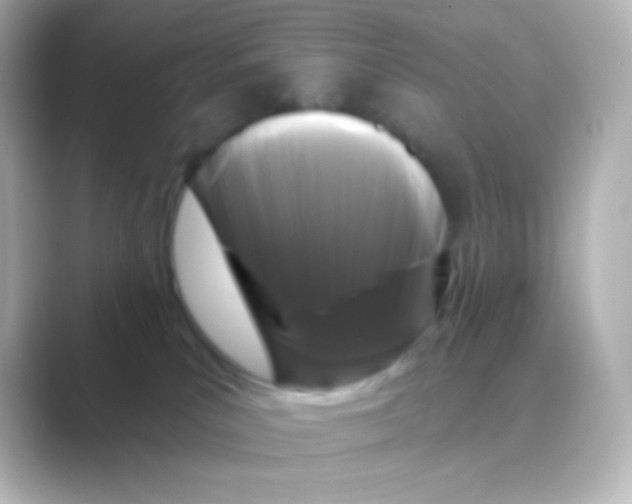 X0000088710039200706212010