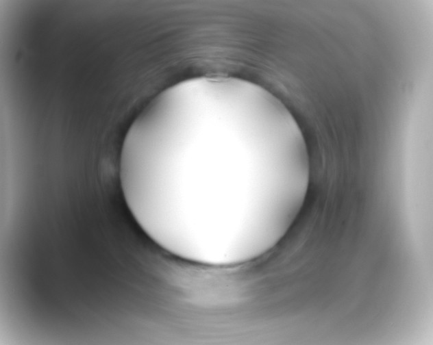 X0000088710040200706212010