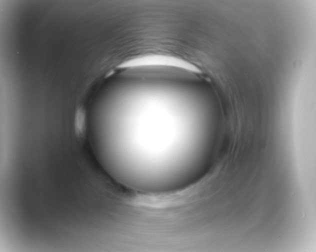 X0000088710041200706212010