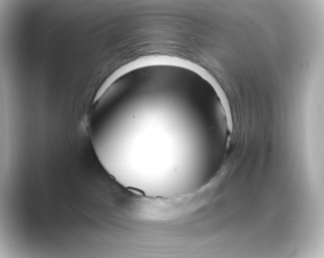 X0000088710045200706212010